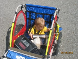 bike trailer